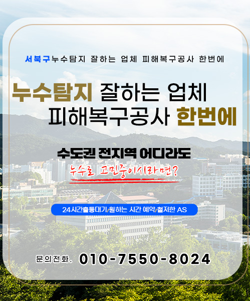 누수탐지 잘하는 업체 피해복구공사 한번에 모바일 비주얼 0
